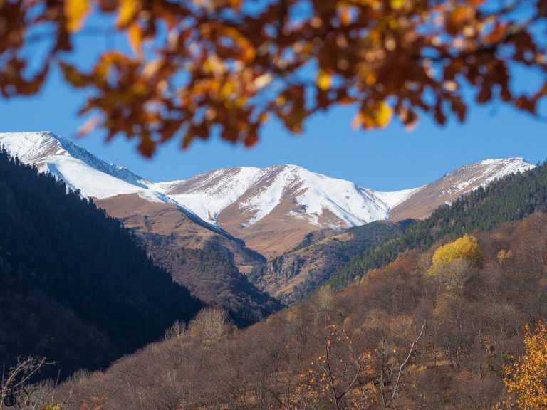Осенняя листва обрамляет заснеженные вершины Теберды